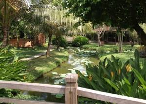 Garden Mekong South Vietnam