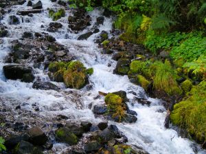 Wahkeena Falls Columbia River Gorge Portland Oregon